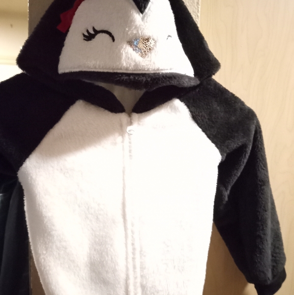 The Children's Place Hoodie, 4T