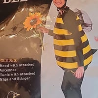 Kangaroo Costumes Bumble Bee Adult Costume