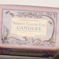 Gallery image 2 for Illuminations Broken Egg Candles