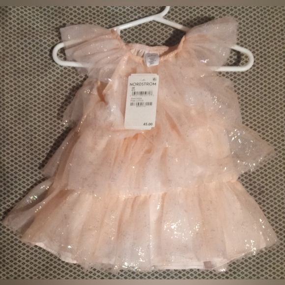 Nordstrom Pink Lotus Tulle Dress w/Underpants